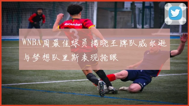 WNBA周最佳球员揭晓王牌队威尔逊与梦想队里斯表现抢眼