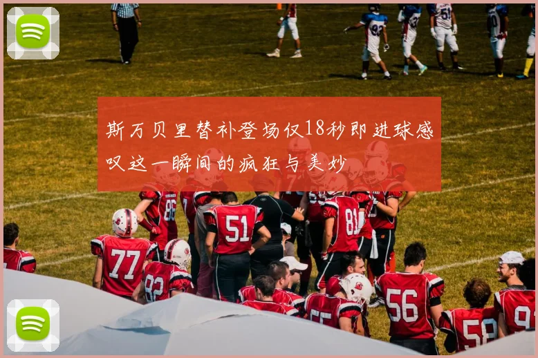 斯万贝里替补登场仅18秒即进球感叹这一瞬间的疯狂与美妙