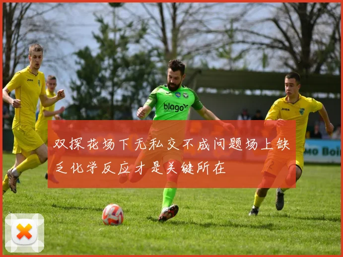 双探花场下无私交不成问题场上缺乏化学反应才是关键所在